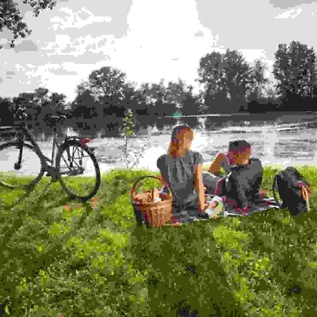 Ferienwohnung Rheinzabern - 4 Sterne Exteriör bild